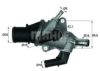 FIAT 60614140 Thermostat, coolant